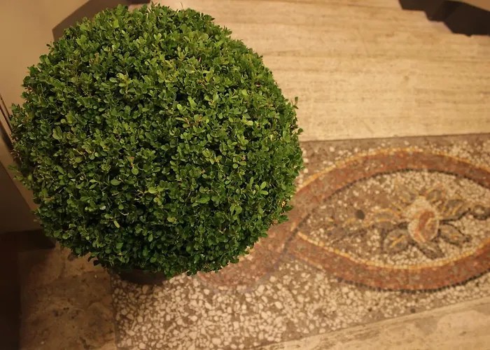 Navona Guest house 4*