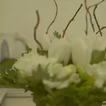 Navona Guest house